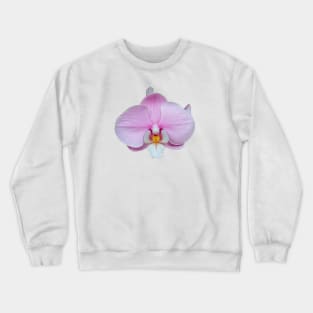 Pink Orchid Flower Crewneck Sweatshirt